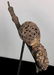 Cameroon Bamun People Antique smoking pipe - 2