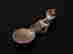 item-130396729=4