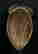 item-133619528=6