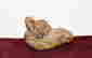 item-133619705=2