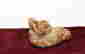 item-133619705=3