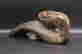 item-137184207=4