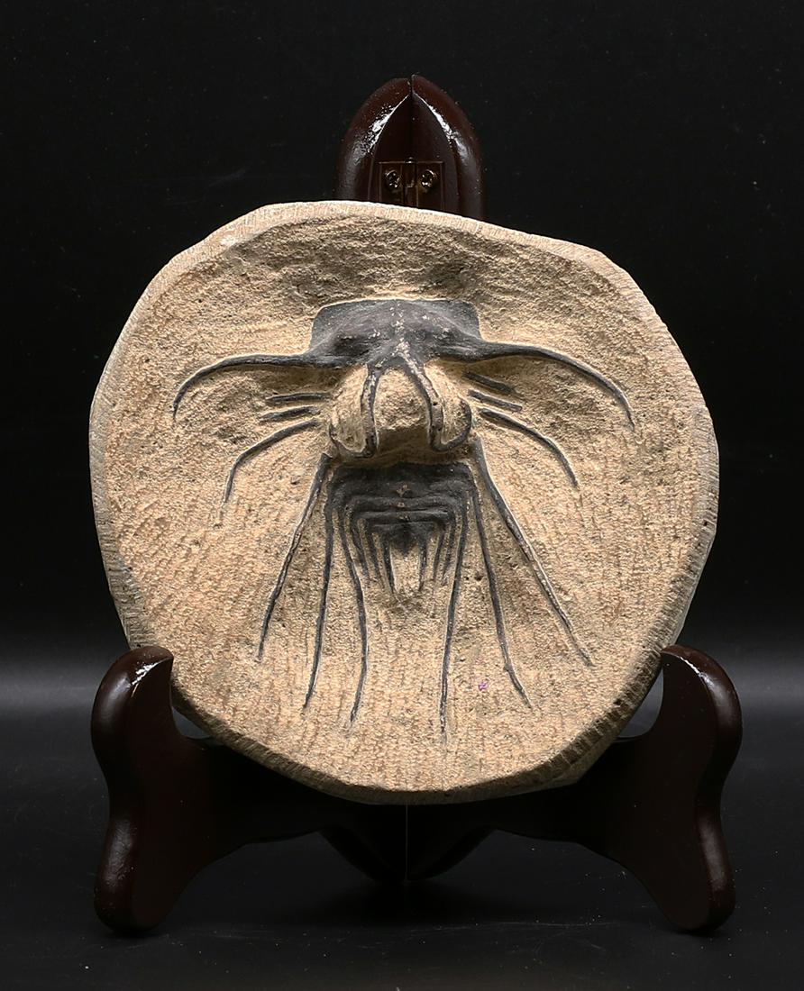 Ancient Fossile Trilobite Devonian Period 12x12x2 cm - 250 gr. Morocco (1 of 5)