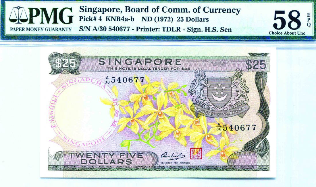 Orchids Series $25 (1 of 1)