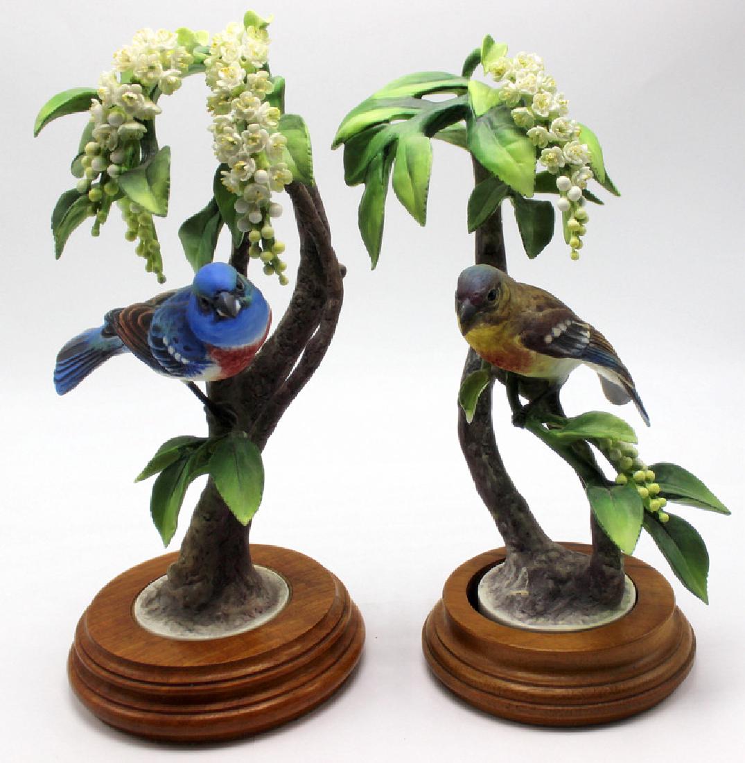 Royal Worcester (2) Dorothy Doughty Birds (1 of 1)