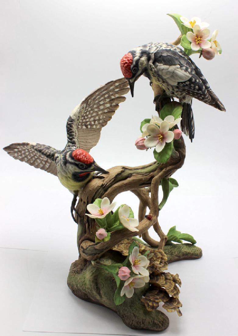 Boehm Yellow-Bellied Sapsuckers (1 of 1)