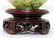 Antique Chinese Spinach Jade Bowl on Hardwood Stand - 3