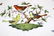 Herend "Rothschild" Platter with Basket Weave Border - 2