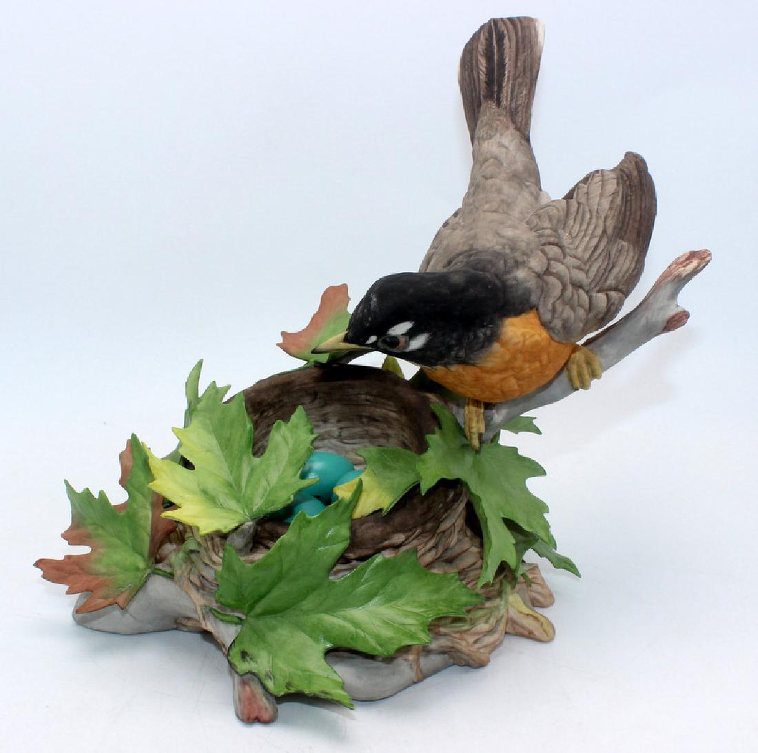 Boehm Robin #148 (1 of 2)