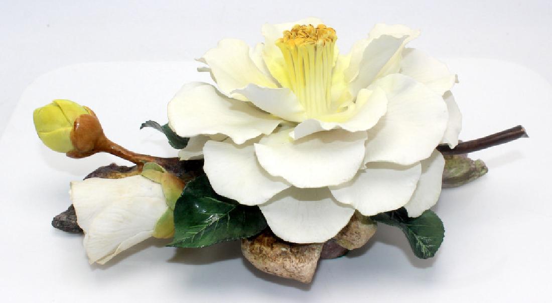 Boehm Emmett Barnes Camellia (1 of 1)