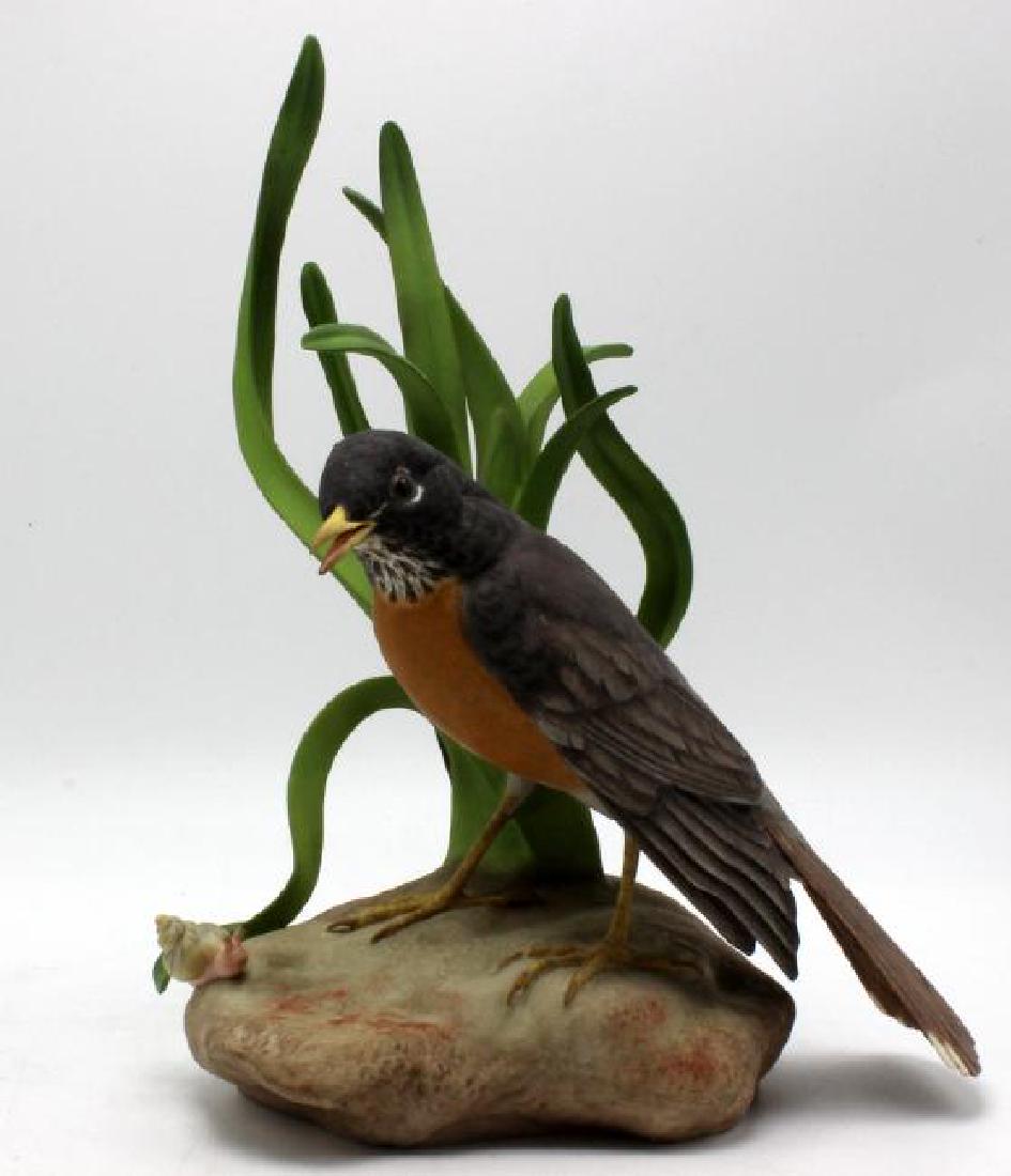 Boehm Robin #472 (1 of 2)