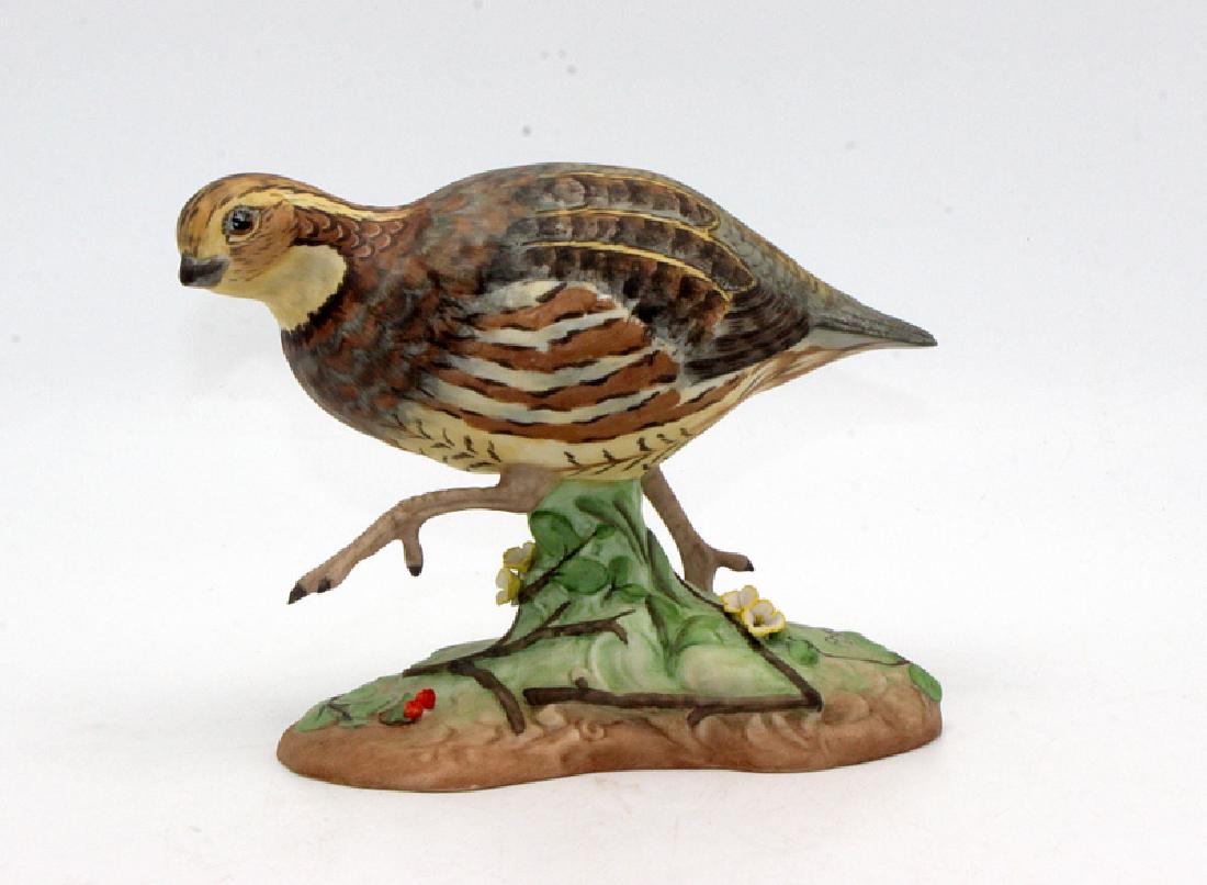 Bohem Bob White Quail (1 of 1)