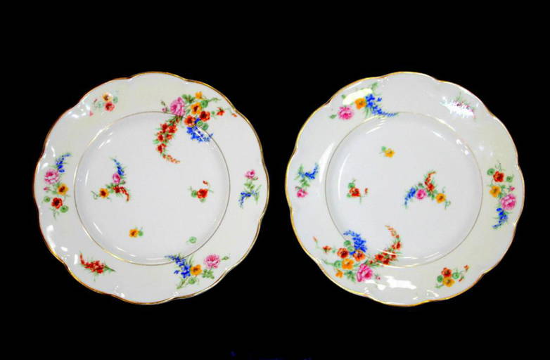 Lot Of 11 Pcs Haviland Limoge Dinner Plates