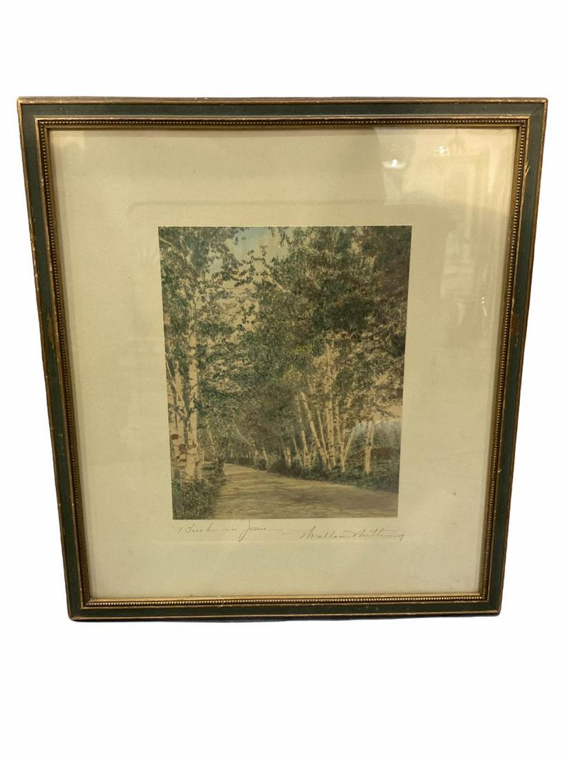 Signed Wallace Nutting (1861-1941) Birches in June: Signed Wallace Nutting (1861-1941) Birches in June Print in Color. Signed and titled measures 9 1/2" x 7", 3 1/2" frame and matte