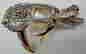 item-129557153=6