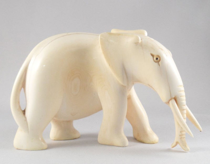 African Ivory Carved Elephant: African ivory carved elephant. Beautifully carved out of fine ivory. Measures 3 1/4"H X 5"L. Shipping within the continental US is $20 plus required insurance. No international shipping.