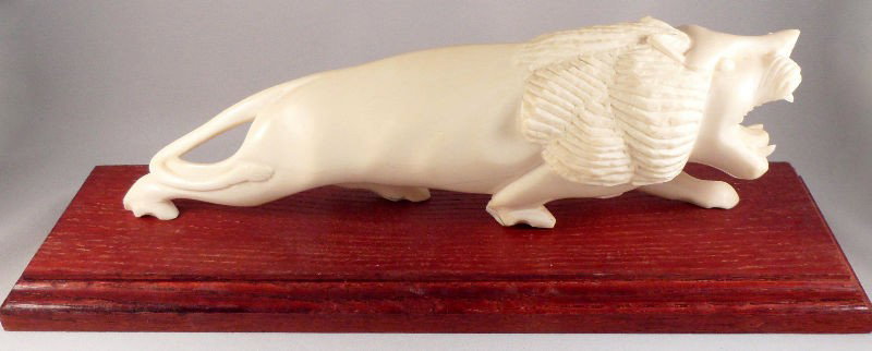 African Ivory Carving of a Lion: African ivory carving of a lion. The animal has its mouth wide open as in mid-roar. Piece rests on a wood base. Measures 9 1/4"L X 3"H, base measures 1"H. For Domestic and international shipping quote
