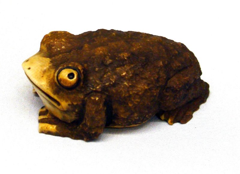 Japanese Ivory Netsuke of A Frog, Signed: Japanese ivory netsuke of a frog signed, Rare , this netsuke is highly unusual and very collectible. Measures approx 2 1/2" x 1 1/2" x 1". For Domestic or International Shipping Quotes Please Feel Cal