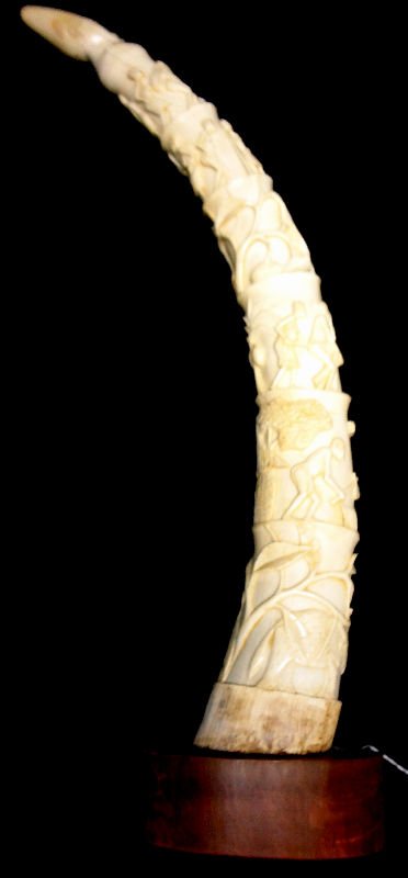 Large African Carved Figural Ivory Tusk: Large African Carved Figural Ivory Tusk depicting figures walking throughout a village. Measures 23 1/4" length. Signed B. Awey. Weighs 56 ozt. With wooden stand. For Domestic or International Shippin