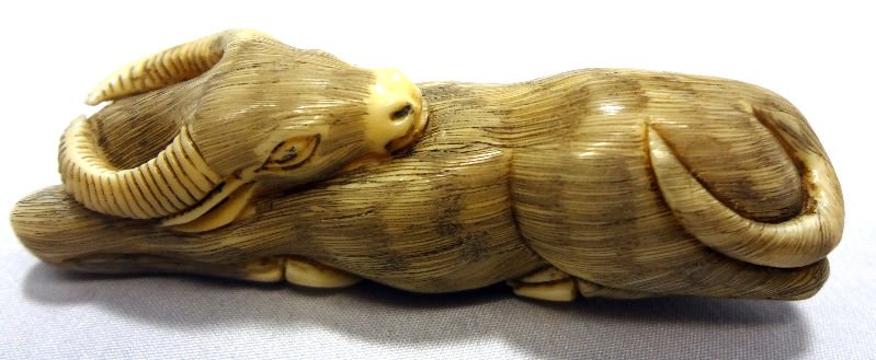 Chinese Ivory Water Buffalo Netsuke: Chinese Ivory Water Buffalo Netsuke. Measures 3/4" high.For Domestic or International Shipping Quotes Please Feel Call Ryan or Dave at Eagle Shipping Center 561-932-0700 or email them at ryan@eagleshi