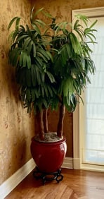 Tree Sculpture in Glazed Planter with Wood Stand