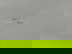 item-205720601=3