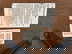 item-206097747=8
