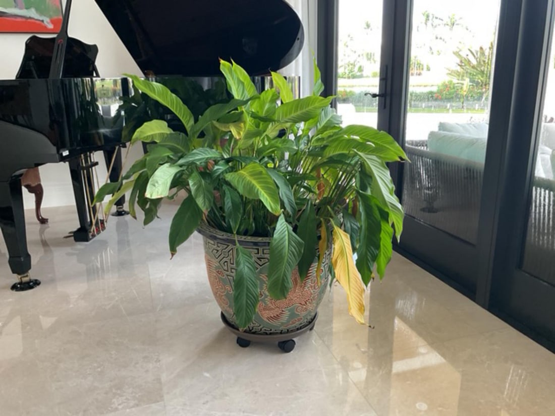 Vintage Chinese Enamel Planter Pot: Vintage Chinese Enamel Planter Pot H: 19 1/4" x DIA: 22 1/2"