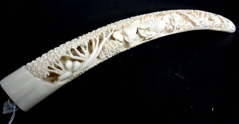 African Hand Carved Ivory Elephant Tusk - Jul 28, 2013 | Bruce Kodner