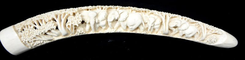 African Hand Carved Ivory Elephant Tusk: African Hand Carved Ivory Elephant Tusk. Depicting elephants, forest scene. Measures - 15" long.