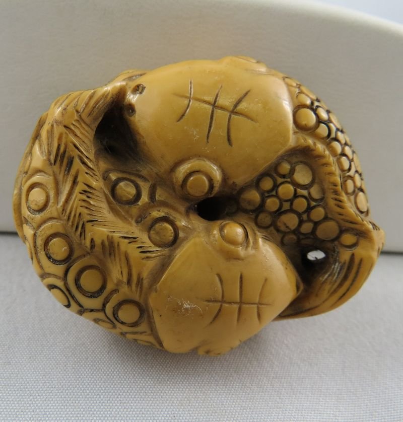 Antique Chinese Hand Carved Ivory Netsuke: Antique Chinese Hand Carved Ivory Netsuke, Chinese fighting fish scene. Measures - 1 3/4" wide.