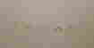 item-29566927=3