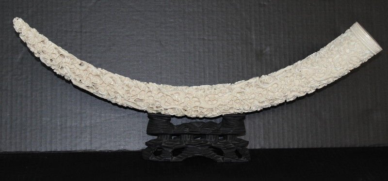 Important Chinese Carved Ivory Dragon Tusk: Important Chinese Carved Ivory Dragon Tusk. Measures - 9 1/2" high x 22" long. Weighs - 827 grams with wooden base. Please Contact - Tom at the UPS Store (561-739-9180) (tupss2807@gmail.com) for shipm