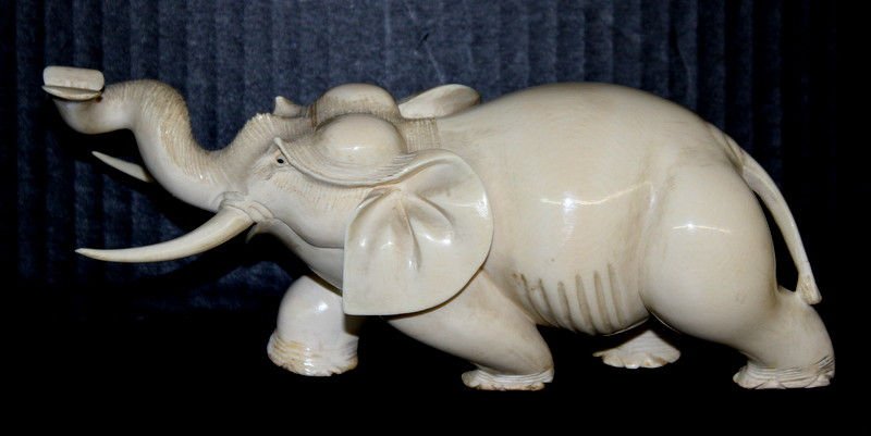 Finely Carved African Ivory Elephant: Finely Carved African Ivory Elephant. Measures - 3 1/2" high x 8" long. Weighs - 616.8 grams. Please Contact - Tom at the UPS Store (561-739-9180) (tupss2807@gmail.com) for shipment of ivory. NO INTER