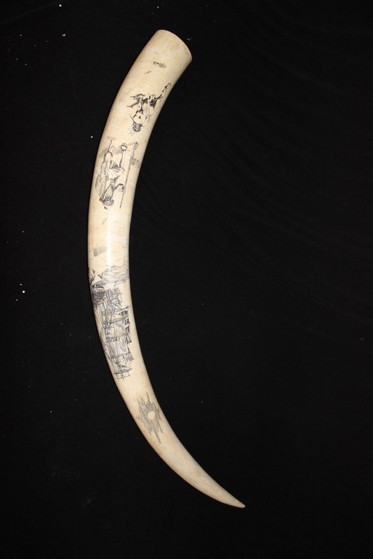 Large American Scrimshaw Ivory Tusk: Large American Scrimshaw Ivory Tusk. Signed Frank, depicting boat scene and figures. Measures - 39 1/2" long. THIS LOT IS THIRD QUARTER 20TH CENTURY, OR EARLIER ORIGIN. INTERNATIONAL CLIENTS ARE INELI