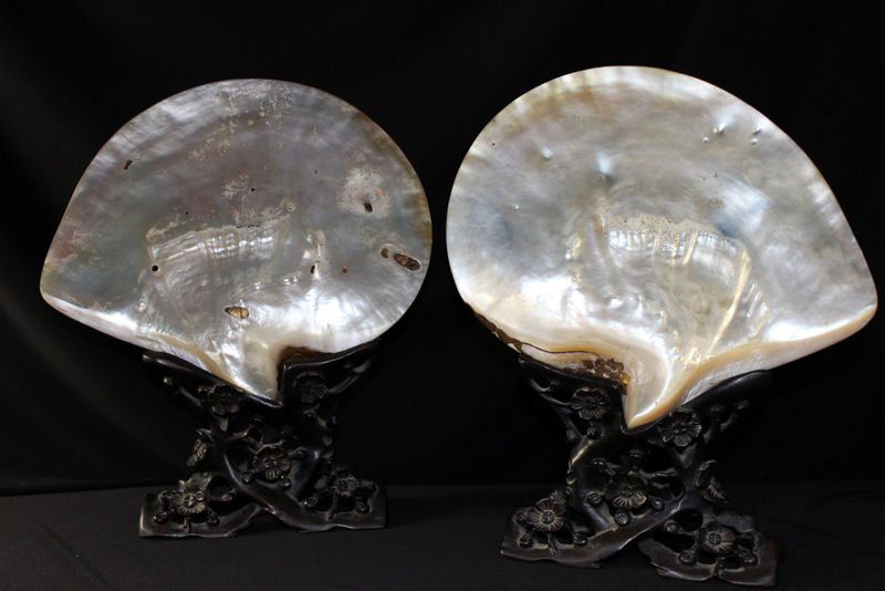 19th C. Mother of Pearl Shells in Chinese Carved Bases (1 of 4)