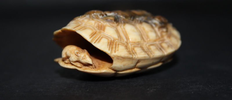Chinese Carved Polychrome Ivory Netsuke (1 of 6)