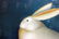 Ygor Gulainin Rabbit Serigraph - 2