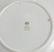 16 Wedgwood Porcelain Fish Plates - 2