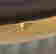item-64306870=6