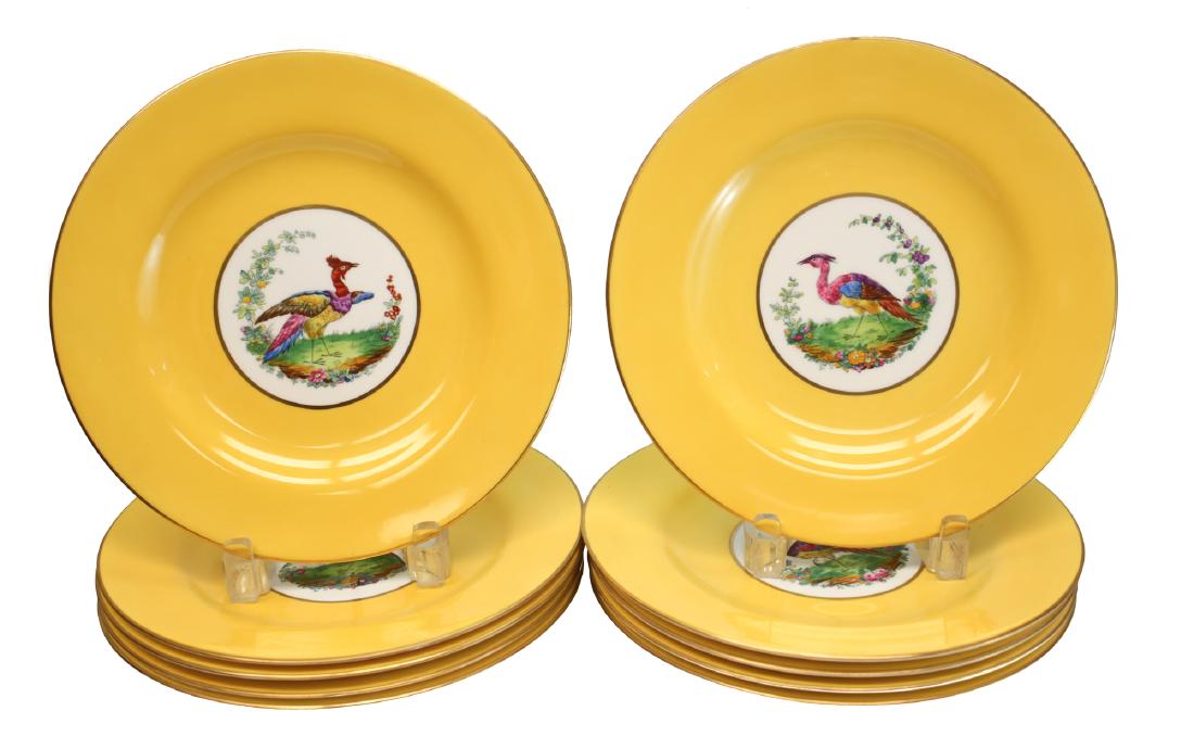 Spode Copeland Porcelain Dinner Plates for Tiffany & Co: 10 Spode Copeland dinner plates retailed by Tiffany & Co. Each with individual hand painted bird of paradise to center on yellow ground border. Marked for Spode Copeland on underside, with Retail by T