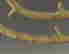 item-78563160=6