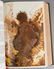 Illustrated Bible Lot - 5