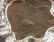 Cambodian Silver Box Lot - 8