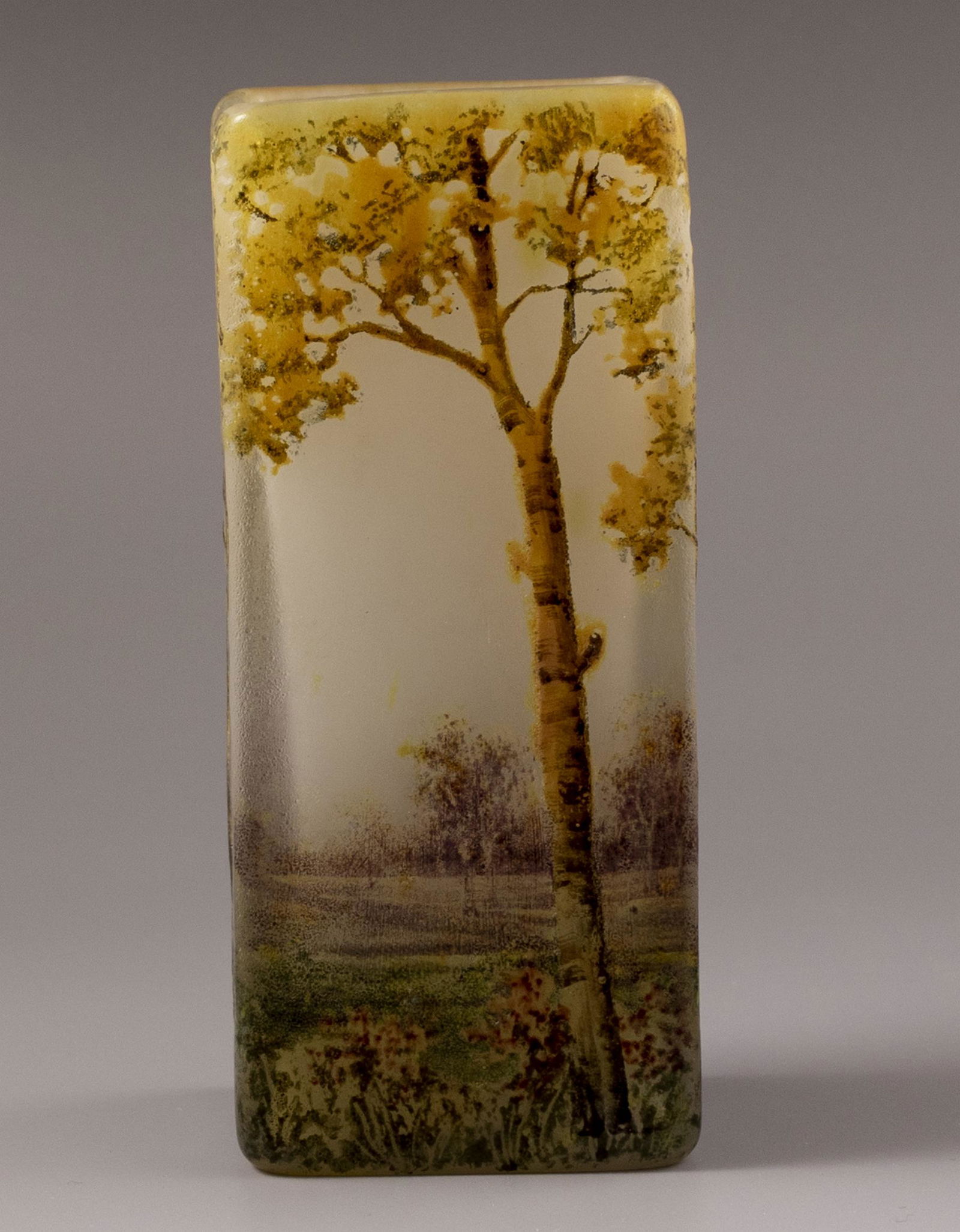 Cameo Glass Vase, Daum Nancy (1 of 9)