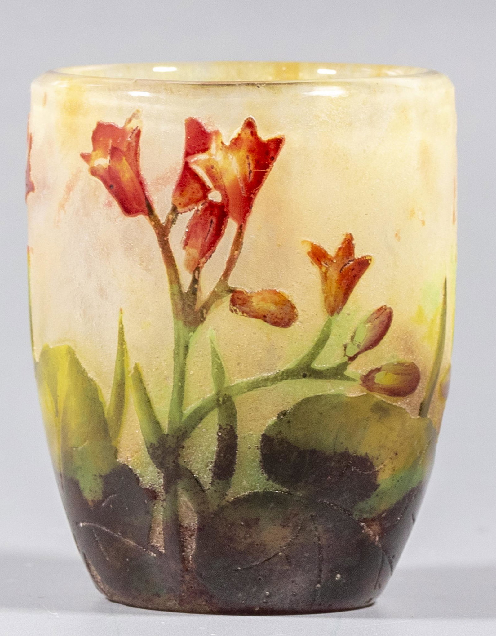 Cameo Glass Vase, Daum Nancy (1 of 6)