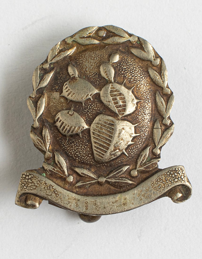 Israeli Military Pin, Women Auxiliary Corps (1 of 2)