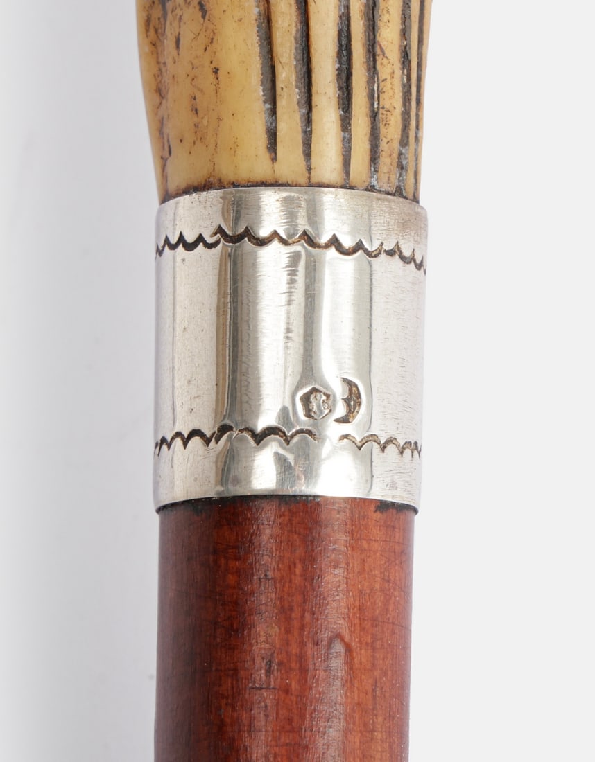 Antisemitic Cane - 5