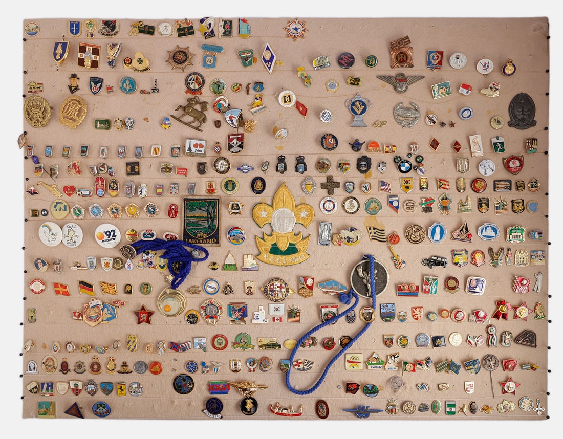 Large Lot of Pins (1 of 7)