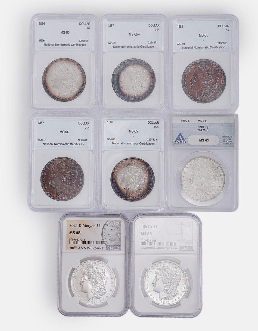 Graded American Morgan Dollar Silver Coins: Lot of 8 graded American Morgan Dollar silver coins (MS 63–68). Seven coins are 900 silver and one 999 silver coin. Total weight: 213.8 grams.